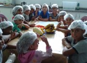 EMVAP PROJETO - Preparação de Salada de Frutas